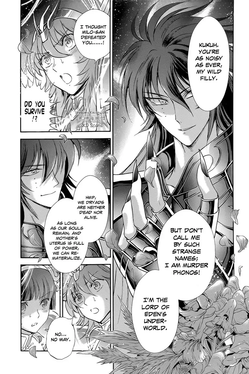 Saint Seiya - Saintia Shou Chapter 47 12